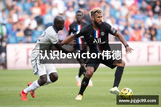 认识bevictor伟德